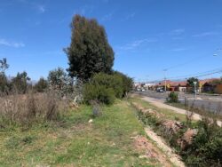 Parcelas sector Ulriksen - Imagen 7