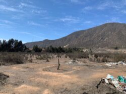 Parcelas sector Ulriksen - Imagen 6