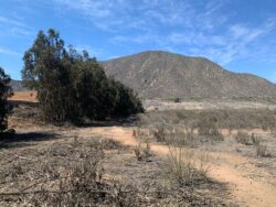 Parcelas sector Ulriksen - Imagen 5