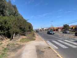 Parcelas sector Ulriksen - Imagen 3