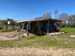 Parcela 24 HA FRAY JORGE - Imagen 4