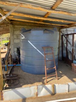 Parcela 24 HA FRAY JORGE - Imagen 8