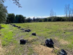 Parcela 24 HA FRAY JORGE - Imagen 10