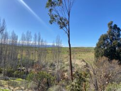 Parcela 24 HA FRAY JORGE - Imagen 16