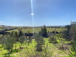 Parcela 24 HA FRAY JORGE - Imagen 17