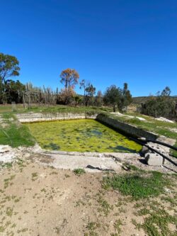 Parcela 24 HA FRAY JORGE - Imagen 18