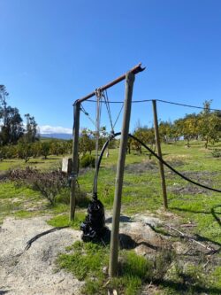 Parcela 24 HA FRAY JORGE - Imagen 19