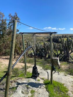 Parcela 24 HA FRAY JORGE - Imagen 20