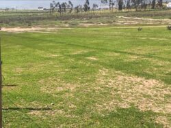 Terrenos en loteo Santa Filomena Pan de Azucar - Imagen 10