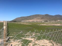 Terrenos en loteo Santa Filomena Pan de Azucar - Imagen 11