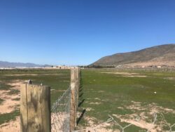 Terrenos en loteo Santa Filomena Pan de Azucar - Imagen 12