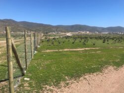 Terrenos en loteo Santa Filomena Pan de Azucar - Imagen 4