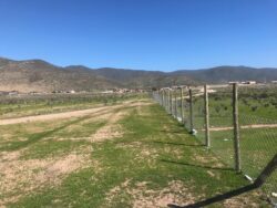 Terrenos en loteo Santa Filomena Pan de Azucar - Imagen 5