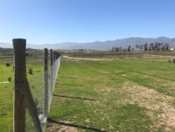 Terrenos en loteo Santa Filomena Pan de Azucar - Imagen 6