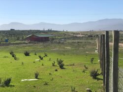 Terrenos en loteo Santa Filomena Pan de Azucar - Imagen 8