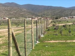 Terrenos en loteo Santa Filomena Pan de Azucar - Imagen 9