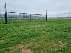 TERRENOS PAN DE AZUCAR - Imagen 2