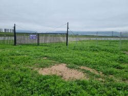 TERRENOS PAN DE AZUCAR - Imagen 11