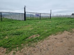 TERRENOS PAN DE AZUCAR - Imagen 4