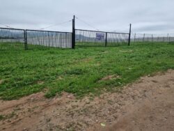 TERRENOS PAN DE AZUCAR - Imagen 6