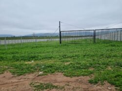 TERRENOS PAN DE AZUCAR - Imagen 9