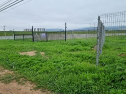 TERRENOS PAN DE AZUCAR - Imagen 10